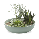 Moog Porcelain Succulent Garden Dish - Chive Ceramics Studio - Pots - Chive US