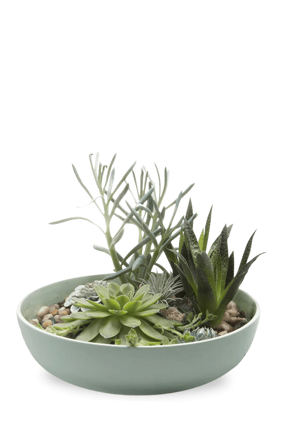 Moog Porcelain Succulent Garden Dish - Chive Ceramics Studio - Pots - Chive Wholesale