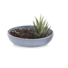 Moog Porcelain Succulent Garden Dish - Chive Ceramics Studio - Pots - Chive US