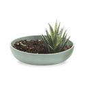 Moog Porcelain Succulent Garden Dish - Chive Ceramics Studio - Pots - Chive US