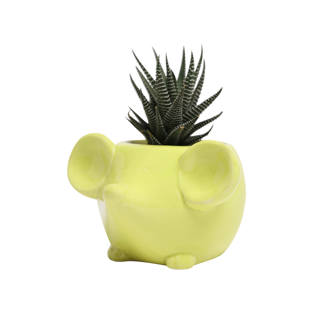 Mouse Ceramic Indoor Plant Pot For Succulents - Chive Ceramics Studio - Pots - Chive US
