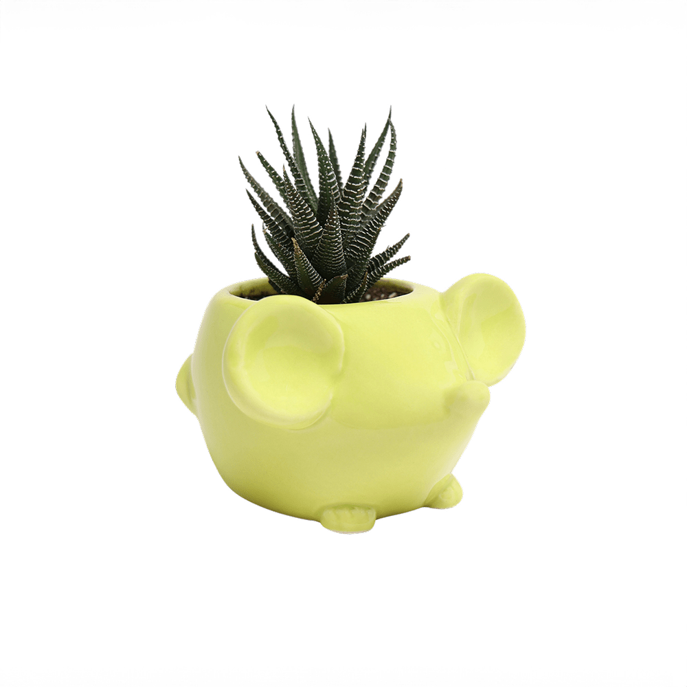 Mouse Ceramic Indoor Plant Pot For Succulents - Chive Ceramics Studio - Pots - Chive US
