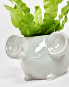 Mouse Ceramic Indoor Plant Pot For Succulents - Chive Ceramics Studio - Pots - Chive US