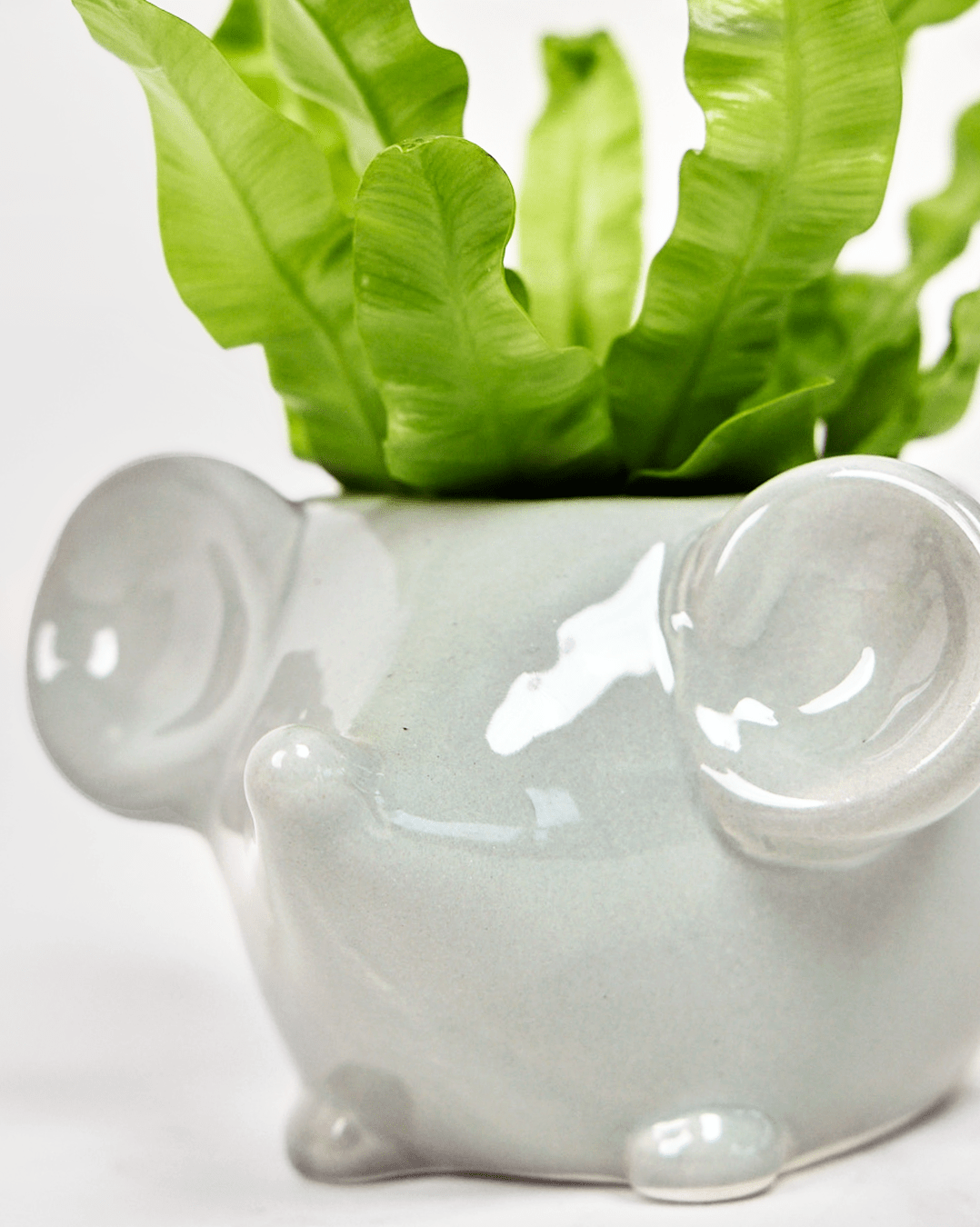 Animal-Inspired Plant Pots | Cute & Fun Decor for Your Plants