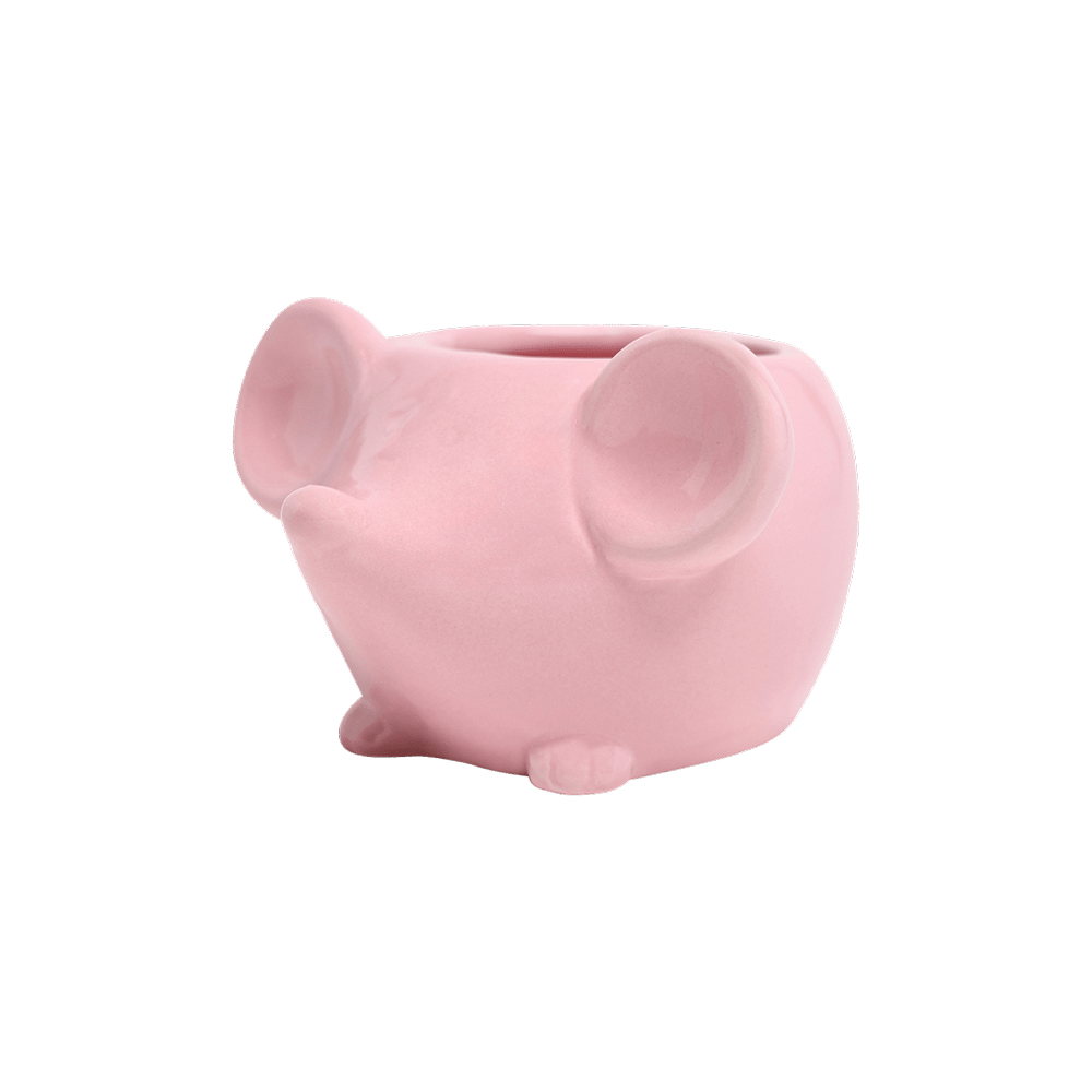 Mouse Ceramic Indoor Plant Pot For Succulents - Chive Ceramics Studio - Pots - Chive US