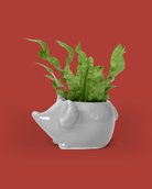 Mouse Ceramic Indoor Plant Pot - Chive Ceramics Studio - Pots - Chive Ceramics Studio