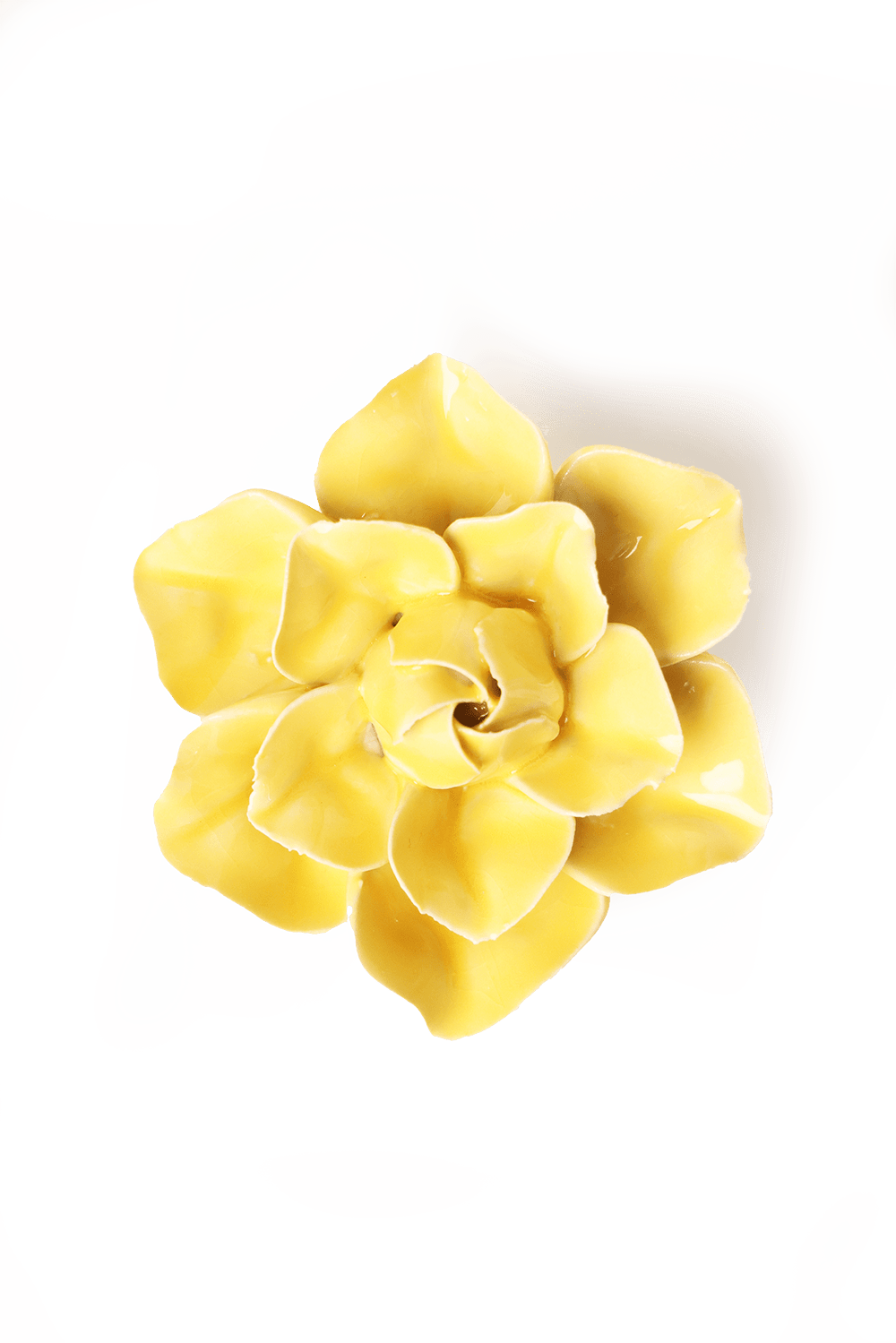 March Birth Flower - Daffodil ceramic wall flower — Birth Flower Collection — handmade by Chive Studio Toronto