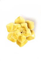 March Birth Flower - Daffodil ceramic wall flower — Birth Flower Collection — handmade by Chive Studio Toronto