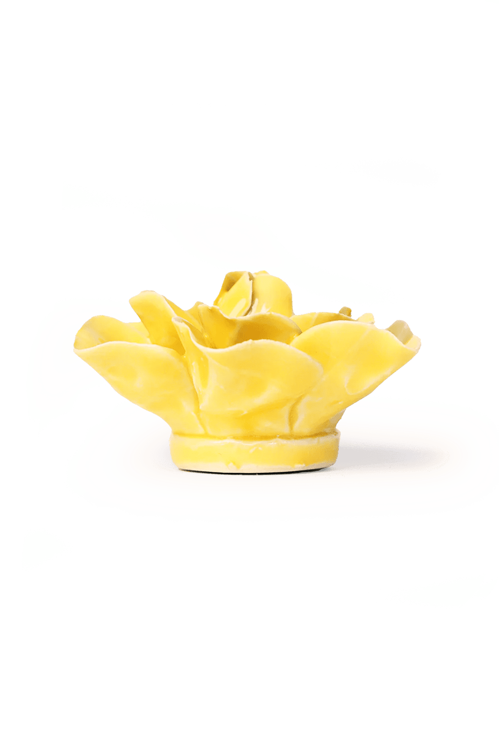 March Birth Flower - Daffodil ceramic wall flower — Birth Flower Collection — handmade by Chive Studio Toronto