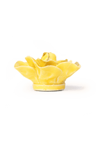 March Birth Flower - Daffodil ceramic wall flower — Birth Flower Collection — handmade by Chive Studio Toronto