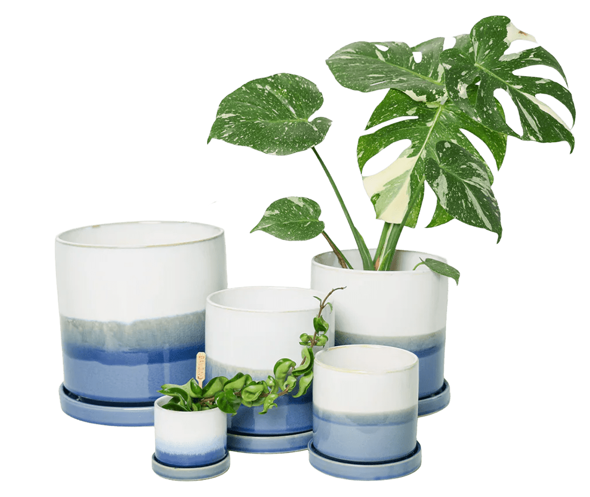 Large Minute Ceramic Pots & Saucer | 6", 7" & 8" Indoor Planter - Chive Ceramics Studio - Pots - Chive Ceramics Studio