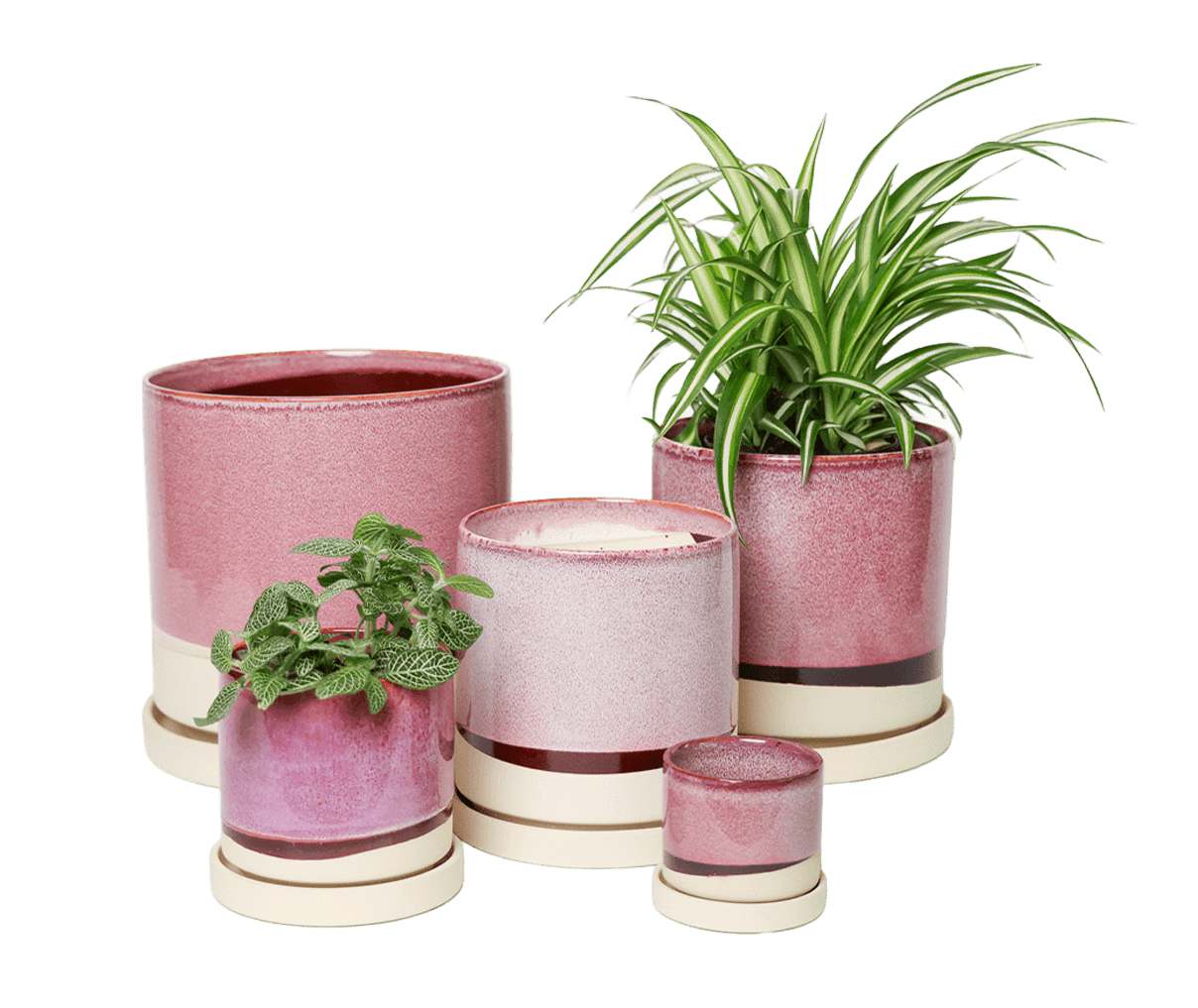 Large Minute Ceramic Plant Pot & Saucer — Burgundy | Chive Studio