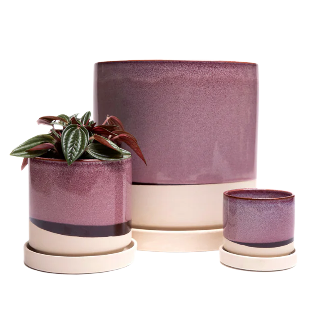 Set of three ceramic planters with a purple and beige color scheme on a white background. | Chive