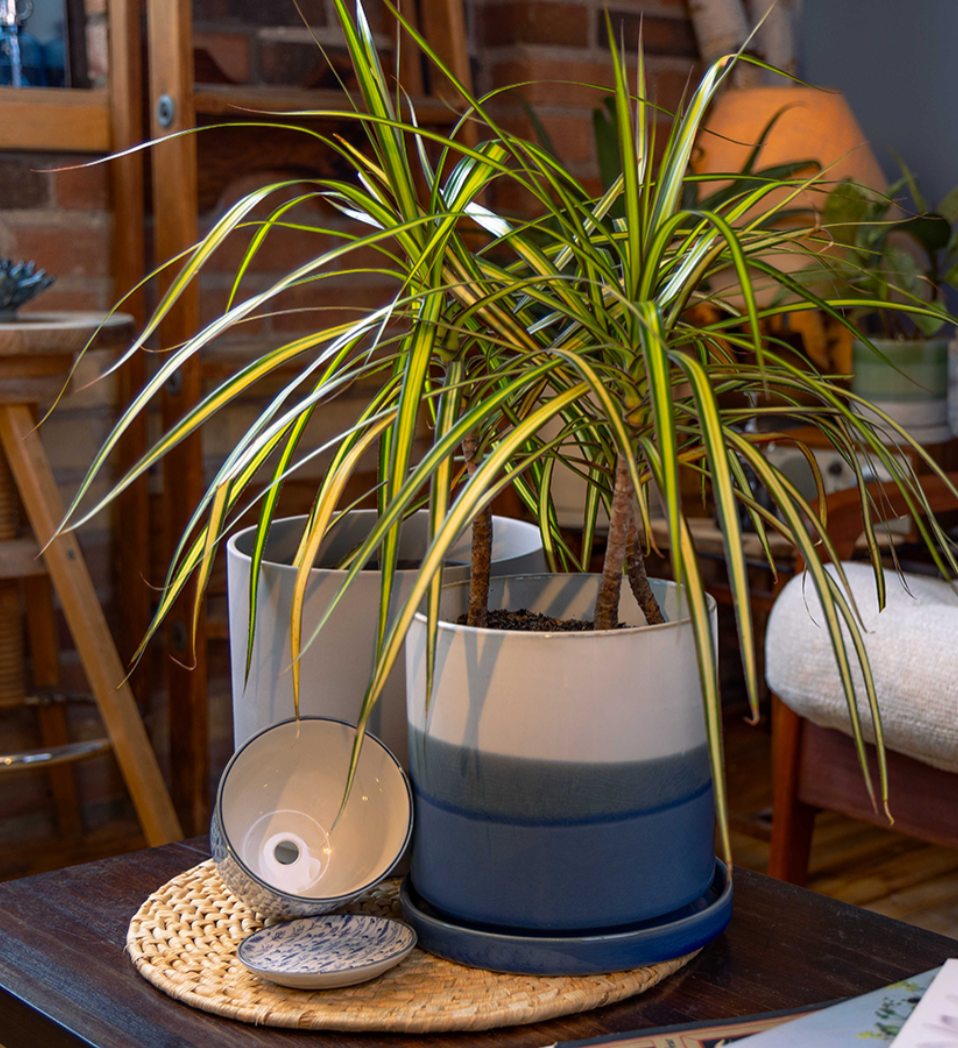 Pots with drainage by chive studio