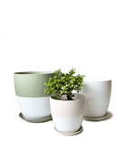 Dyad Porcelain Modern Indoor Plant Pot With Saucer | 6, 8 & 10 inches - Chive Ceramics Studio - Pots - Chive Ceramics Studio