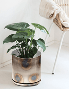 Joe Metal Pot With Drainage Hole | 7, 8, 10 & 12 inches - Chive Ceramics Studio - Pots - Chive Ceramics Studio