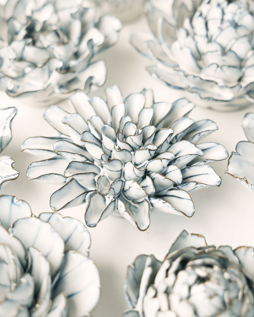 Blue White King Protea Wall Art | Chive