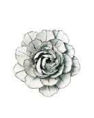 Blue White Keiko Peony - Chive Ceramics Studio - Ceramic Flowers - Chive Ceramics Studio