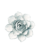 Blue White Camellia - Chive Ceramics Studio - Ceramic Flowers - Chive Ceramics Studio