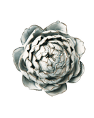 Blue White Queen Protea - Chive Ceramics Studio - Ceramic Flowers - Chive Ceramics Studio