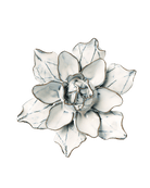 Blue White Columbine - Chive Ceramics Studio - Ceramic Flowers - Chive Ceramics Studio