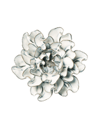 Blue White Hawthorn - Chive Ceramics Studio - Ceramic Flowers - Chive Ceramics Studio