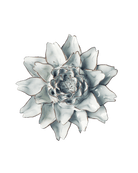 Blue White King Protea - Chive Ceramics Studio - Ceramic Flowers - Chive Ceramics Studio