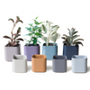 Svek Ceramic Indoor Succulent Pot
