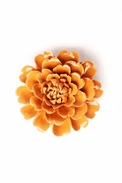 October Birth Flower - Marigold ceramic wall flower — Birth Flower Collection — handmade by Chive Studio Toronto