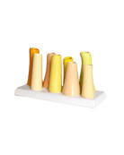 Pooley Modern Bud Vase For Flowers - Chive Ceramics Studio - Vases - Chive Ceramics Studio