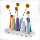 Pooley Modern Bud Vase For Flowers