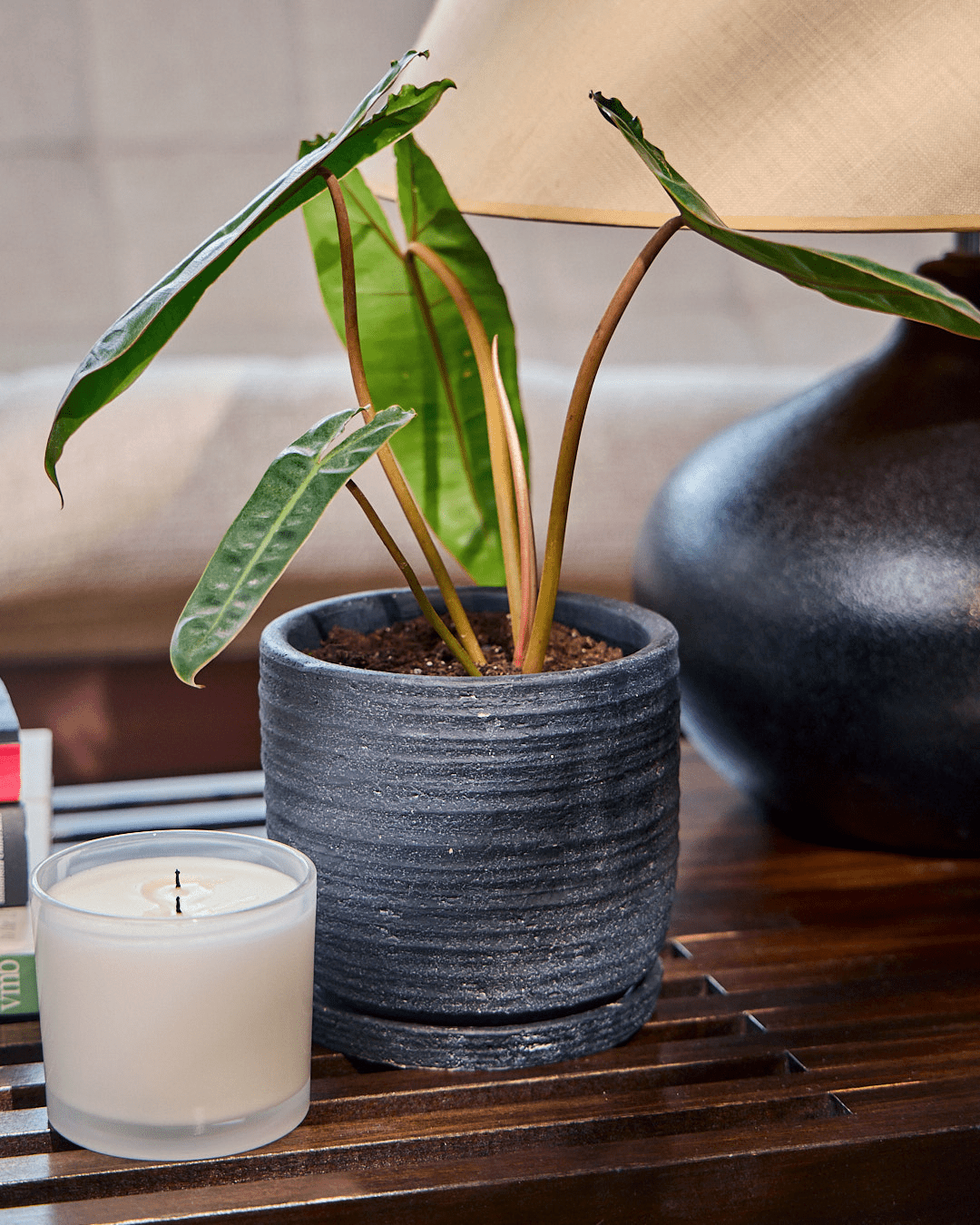 Paul Ceramic Pot And Saucer Set With Drainage Paul Ceramic Pot And Saucer Set With Drainage