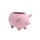 Pig Ceramic Indoor Plant Pot For Succulents - Chive Ceramics Studio - Pots - Chive Ceramics Studio