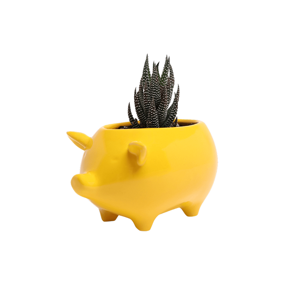 Pig Ceramic Indoor Plant Pot For Succulents - Chive Ceramics Studio - Pots - Chive Ceramics Studio