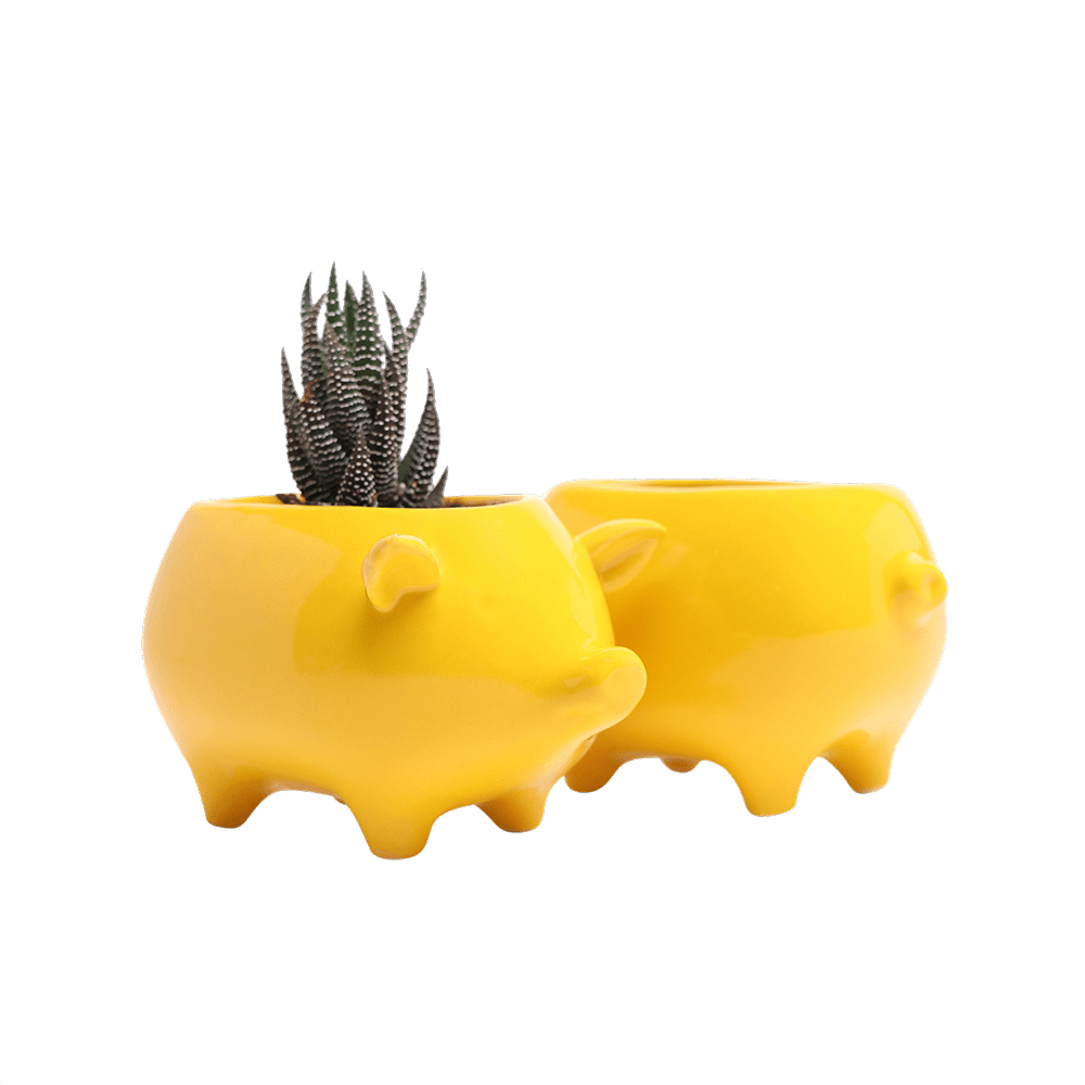 Pig Ceramic Indoor Plant Pot For Succulents - Chive Ceramics Studio - Pots - Chive Ceramics Studio