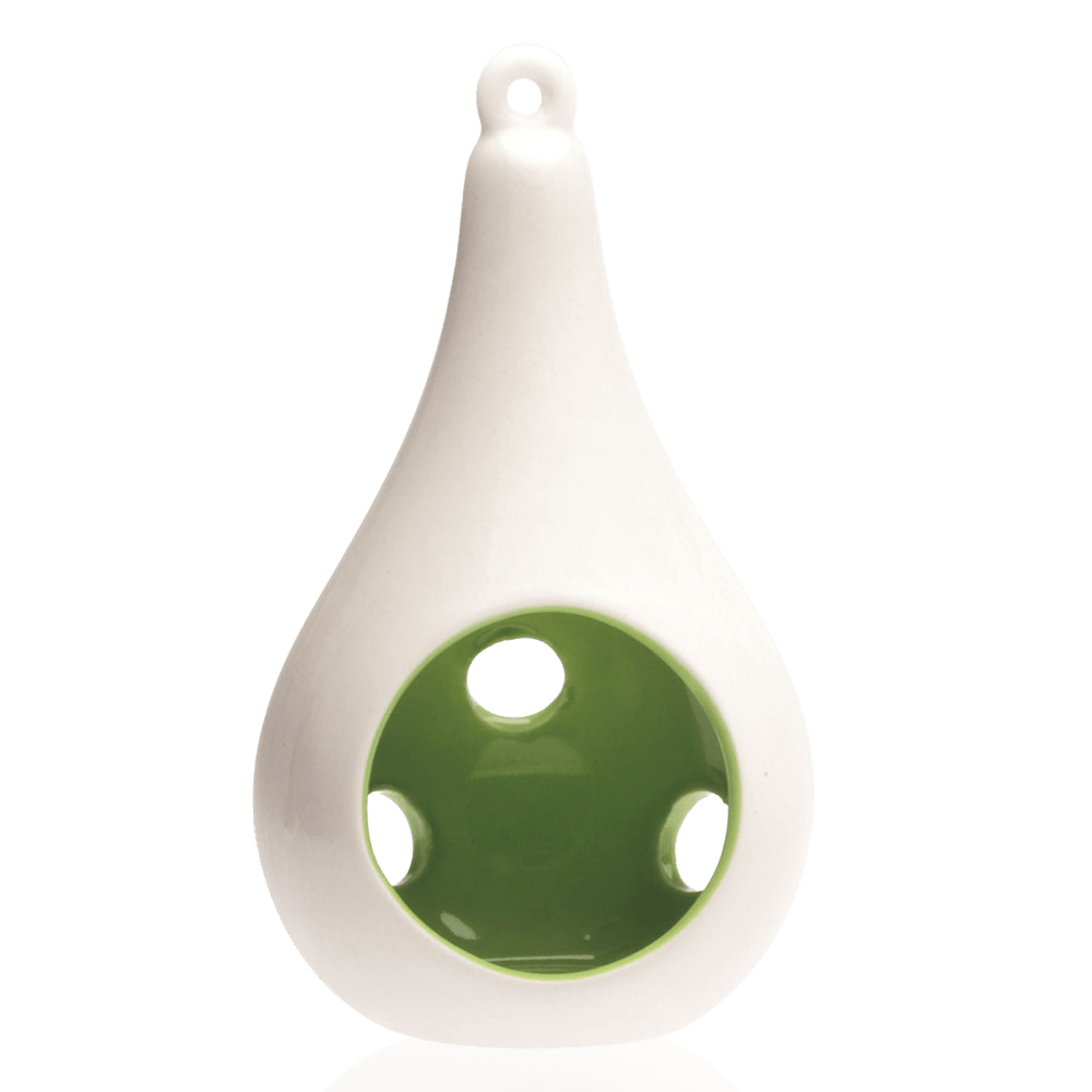 Pod Ceramic Hanging Air Plant Holder - Chive Ceramics Studio - Tools & Accessories - Chive Ceramics Studio