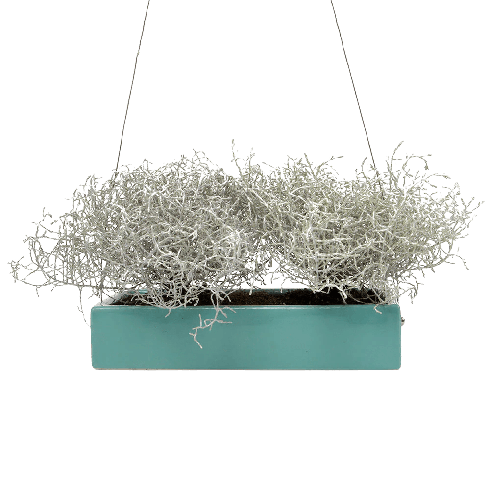 Ragna Ceramic Hanging Planter - Chive Ceramics Studio - Pots - Chive US