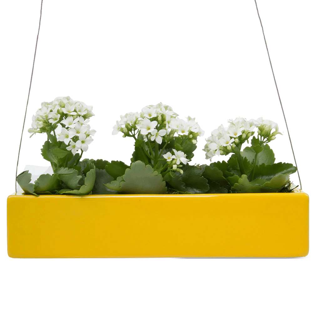 Ragna Ceramic Hanging Planter - Chive Ceramics Studio - Pots - Chive US