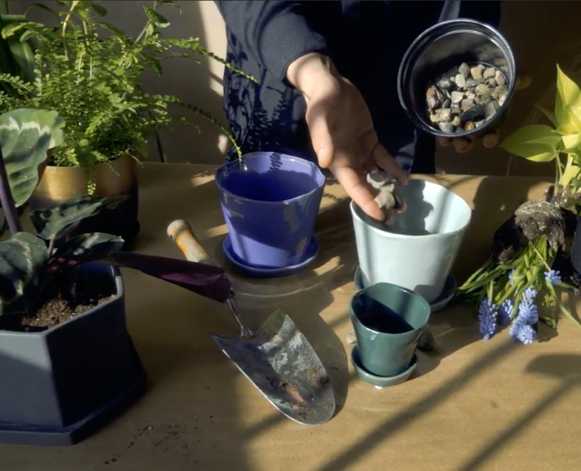 Repotting plants with Chive | Chive Studio