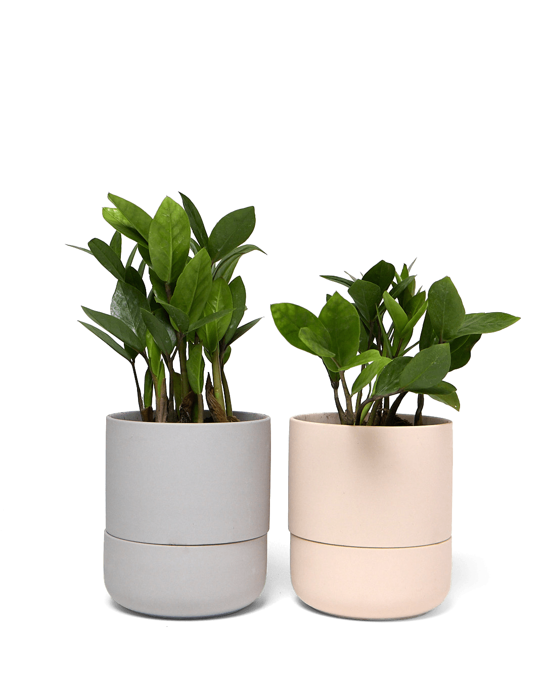 Ryan Self - Watering Plant Pots - Chive Ceramics Studio - Pots - Chive US