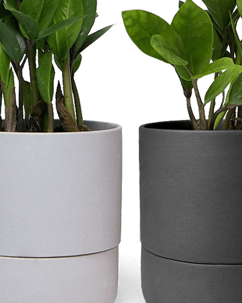 Ryan Self - Watering Plant Pots - Chive Ceramics Studio - Pots - Chive US