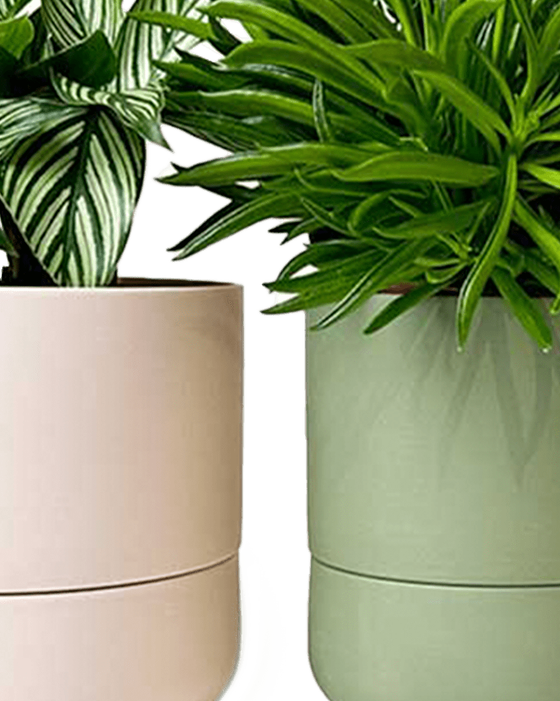 Ryan Self - Watering Plant Pots - Chive Ceramics Studio - Pots - Chive US