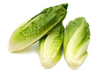 Romaine Lettuce Heads