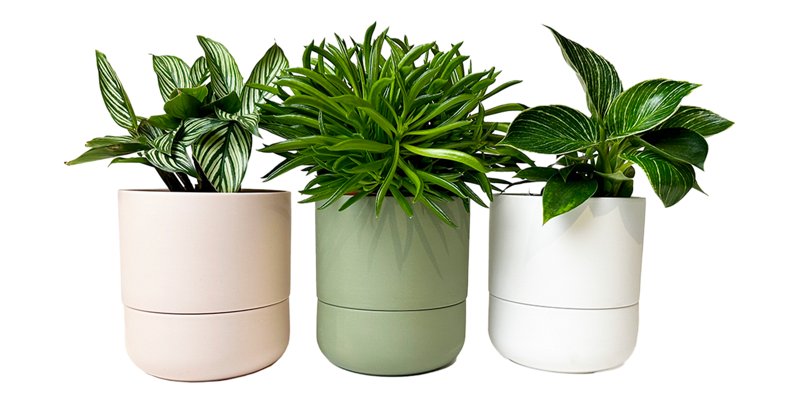 rs3 plant pot Ryan Self-Watering Plant Pots