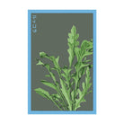 Arugula Vegetable Seeds Packet - Chive Ceramics Studio - Seed Collection - Chive Ceramics Studio