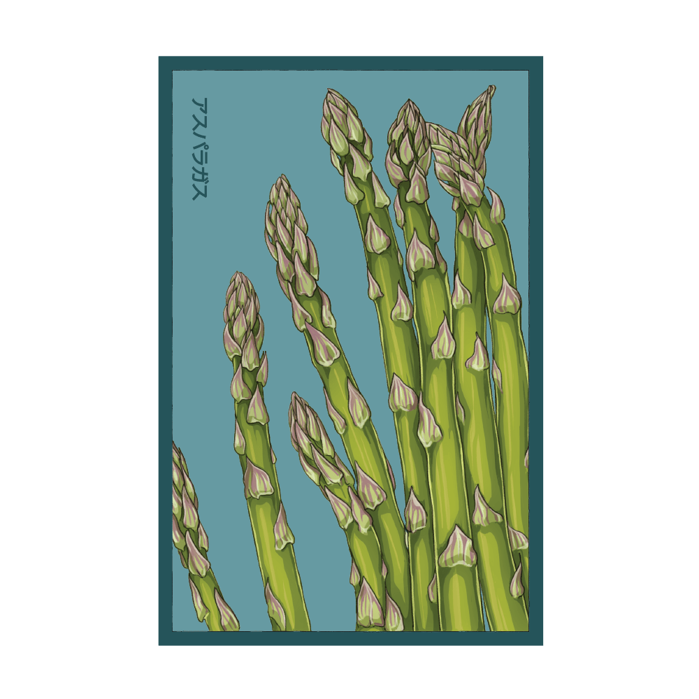 Asparagus Mary Washington seed packet - Shido Seeds non-GMO woodblock design