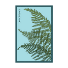 Asparagus Fern indoor seed packet - Shido Seeds non-GMO vacuum-sealed woodblock design