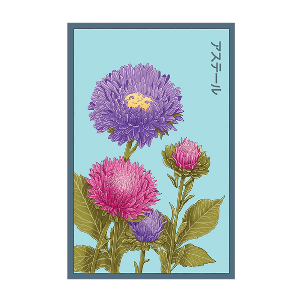 Aster Flower seed packet - Shido Seeds non-GMO vacuum-sealed woodblock design