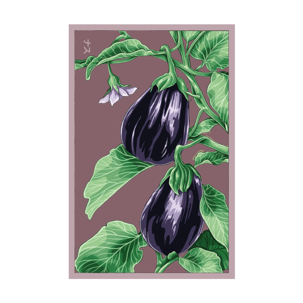 Black Beauty Eggplant seed packet - Shido Seeds non-GMO vacuum-sealed woodblock design