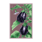 Black Beauty Eggplant Vegetable Seeds Packet - Chive Ceramics Studio - Seeds - Chive Ceramics Studio